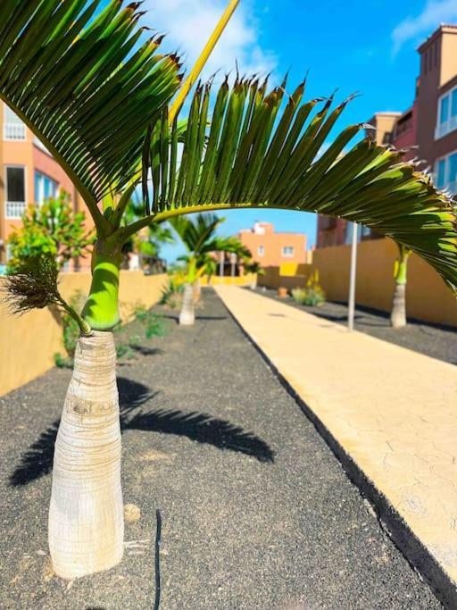 Casa Bamboo Corralejo apartamento luminoso y espacioso, piscina Exterior foto