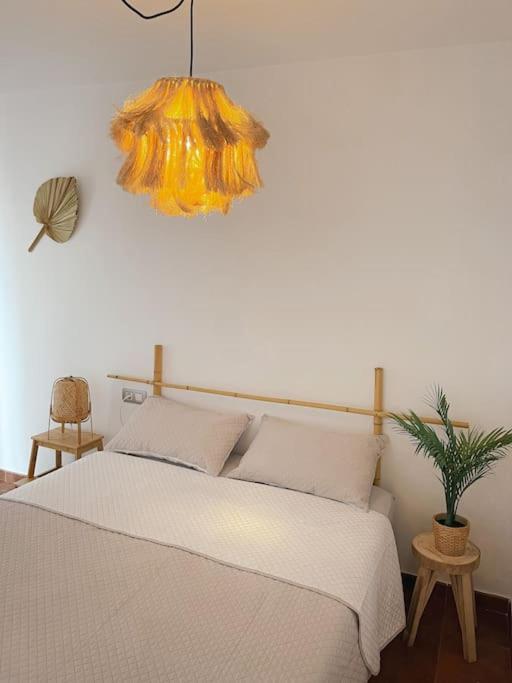 Casa Bamboo Corralejo apartamento luminoso y espacioso, piscina Exterior foto