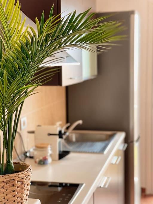 Casa Bamboo Corralejo apartamento luminoso y espacioso, piscina Exterior foto